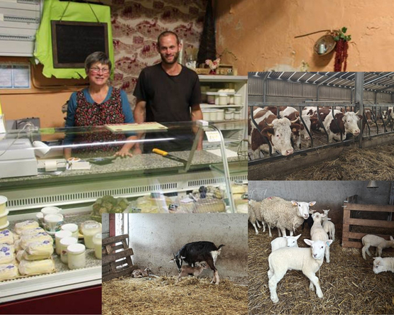 La ferme de Stée