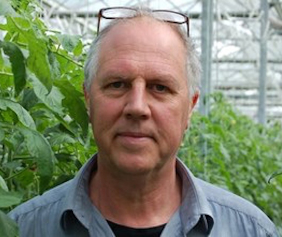 Francis Kestemont