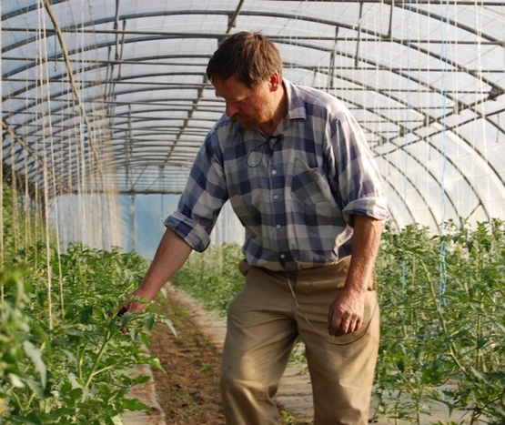 Peter Frischkorn