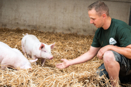 Porc Qualité Ardenne