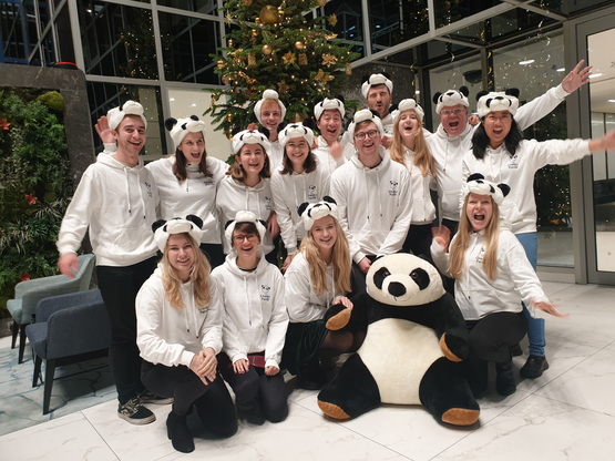 The Cheeky Panda