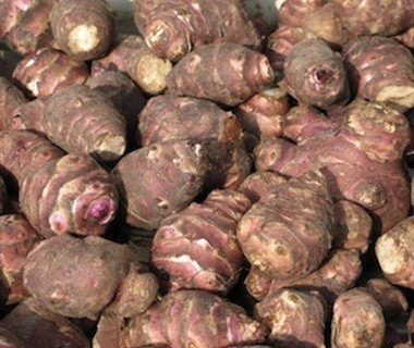Topinambours Coop. Interbio bio