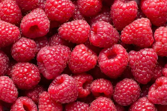 Framboises bio