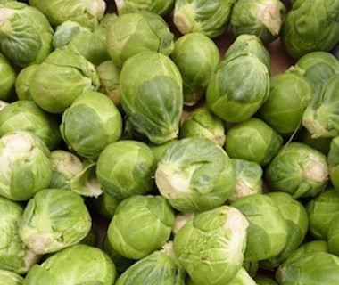 Choux de Bruxelles bio
