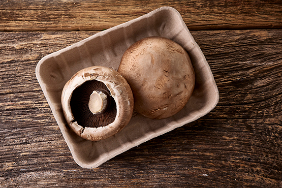 Champignons Portobellos Coop. Interbio bio