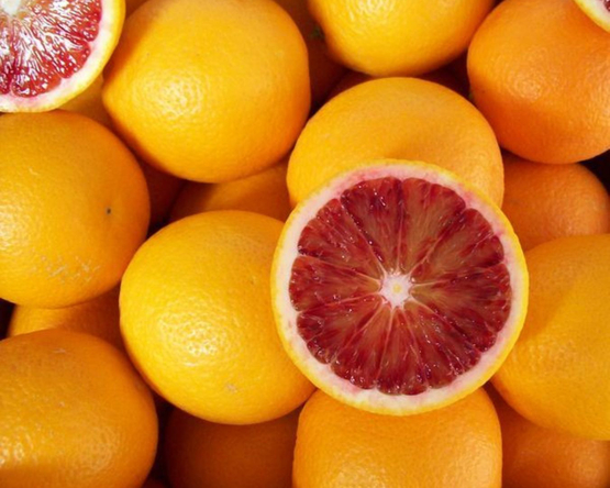 Oranges sanguines (IT) bio