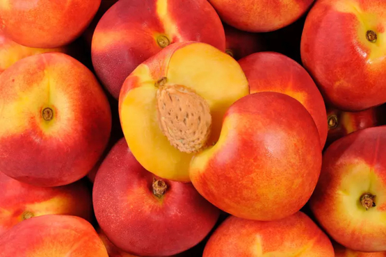 Nectarine (ES) bio