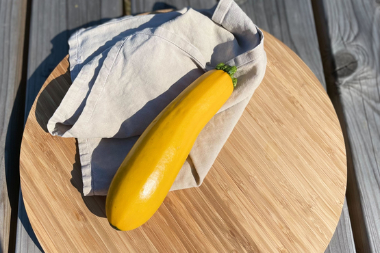 Courgette jaune Francis Kestemont bio