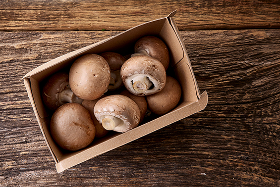 Champignons Châtaignes Coop. Interbio bio