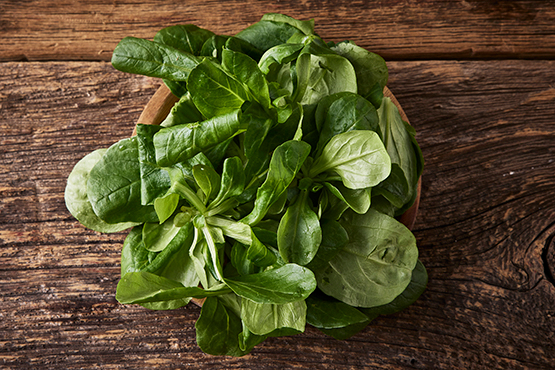 Salade de blé Francis Kestemont bio