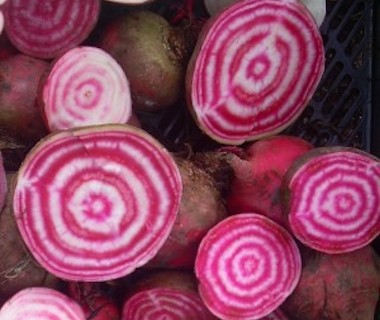Chioggia-bieten Coop. Interbio bio