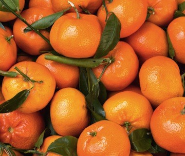 Clémentines (ES) Naranjas Ché bio