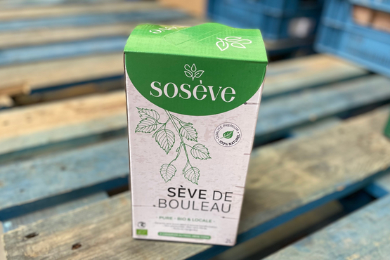 Sève de Bouleau fraîche, nouvelle récolte - 1 pack Sosève bio
