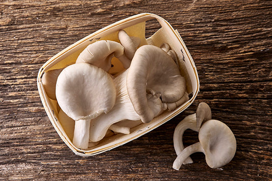 Champignons Pleurotes ECLO bio
