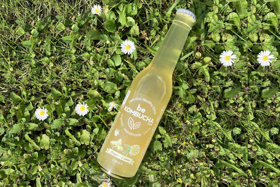 Kombucha Gingembre Citron Bekombucha bio