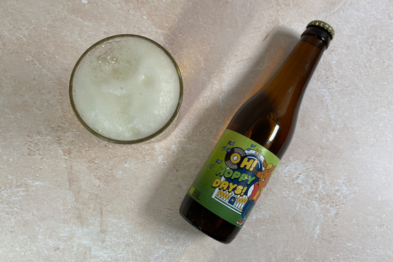 Bière Oh Hoppy Days Ardenne Bio Brasserie Minne bio