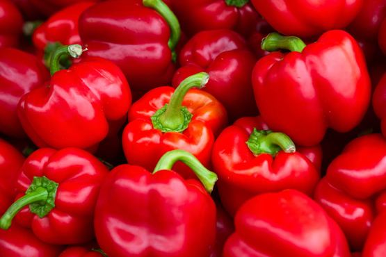 Poivrons rouges bio