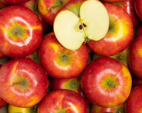 Pommes Jonagold Coop. Interbio bio