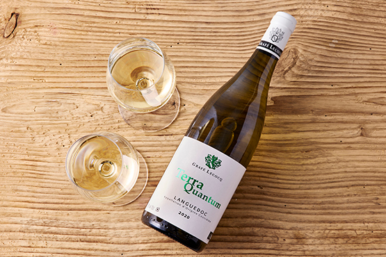 Terra Quantum, witte wijn Grafé Lecocq bio
