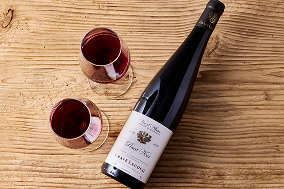 Pinot Noir 2020 Grafé Lecocq bio