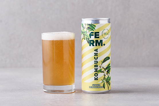 Kombucha met gember en citroenmelisse FERM Drinks bio