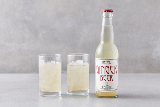 Ginger Beer artisanal L'Annexe bio