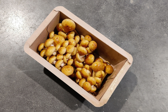 Champignons Nameko ECLO bio