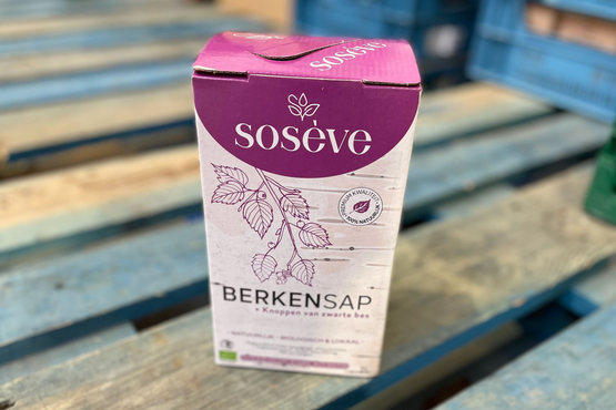 Sève de Bouleau fraîche aux bourgeons de cassis Sosève bio