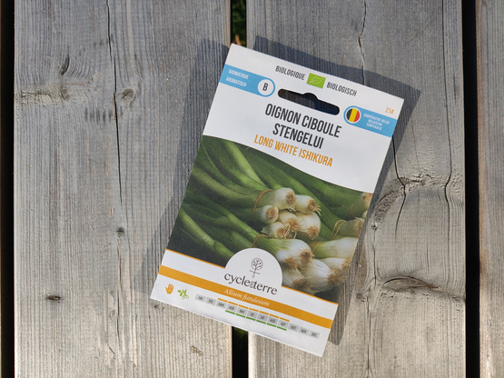 Semences oignon ciboule Long White Ishikura Cycle en terre bio