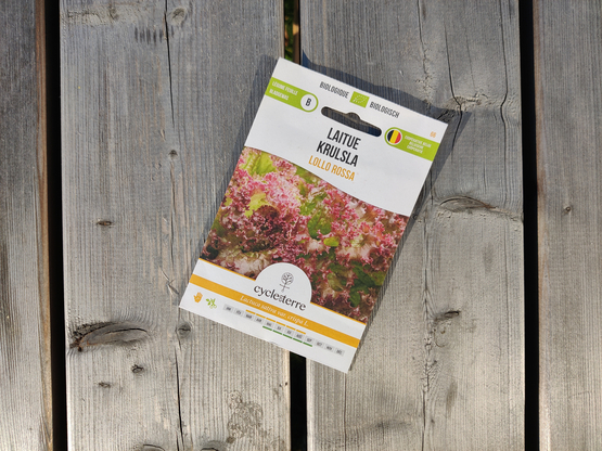 Lollo Rossa bladslazaadjes Cycle en terre bio