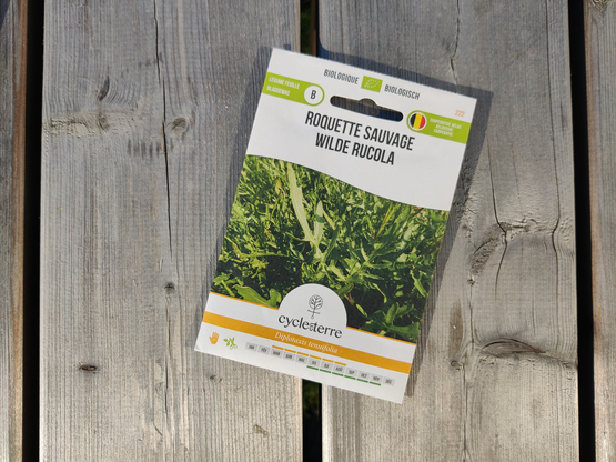 Semences Roquette Sauvage Cycle en terre bio