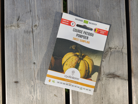 Semences Courge Patidou Sweet Dumpling Cycle en terre bio