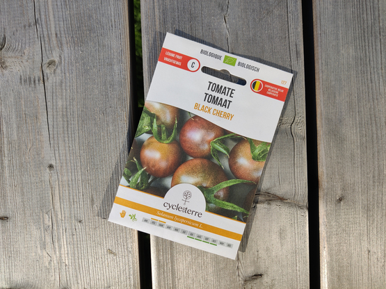 Semences Tomate Black Cherry Cycle en terre bio