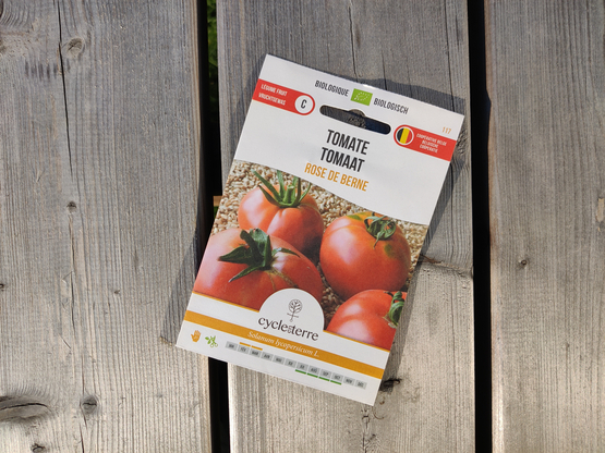 Semences Tomate Rose de Berne Cycle en terre bio