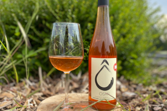 Boisson végétale betterave & mûre Osan bio