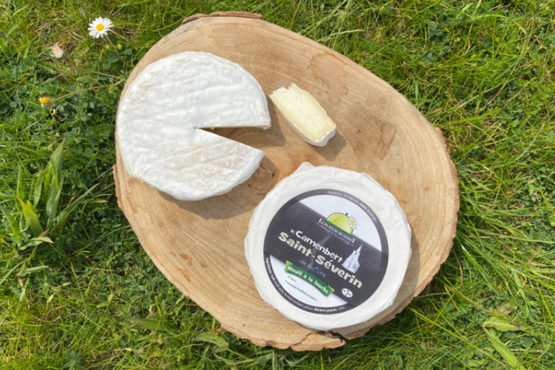 Camembert Saint Severin Le Plateau du Gerny