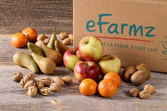 Panier de fruits (Business - 8 pers.) bio
