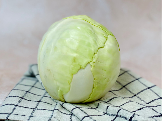Chou blanc bio