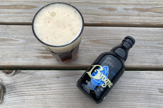 Bière l'Abbaye de Brogne Brune Abbaye de Brogne bio