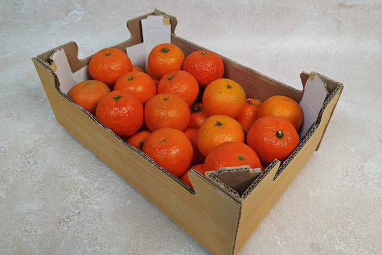 Kratje clementines (ES) Naranjas Ché bio