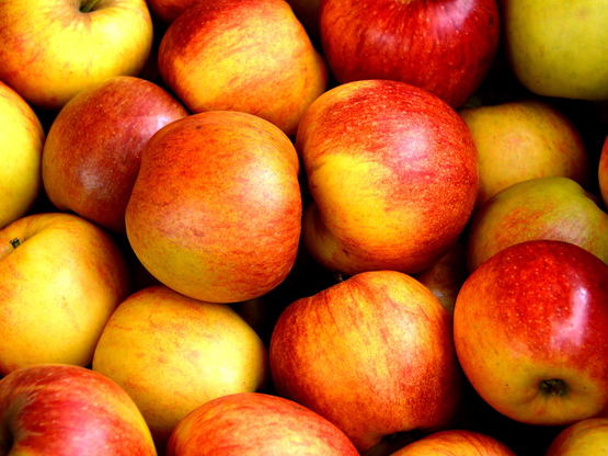 Jonagold appels Marc Ballat bio