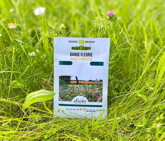 Bande fleurie buffet à insectes par eFarmz Cycle en terre bio