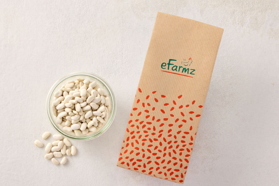 Haricots blancs (L) eFarmz bio