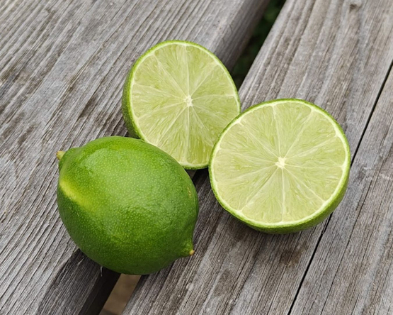 Lime (ES) bio