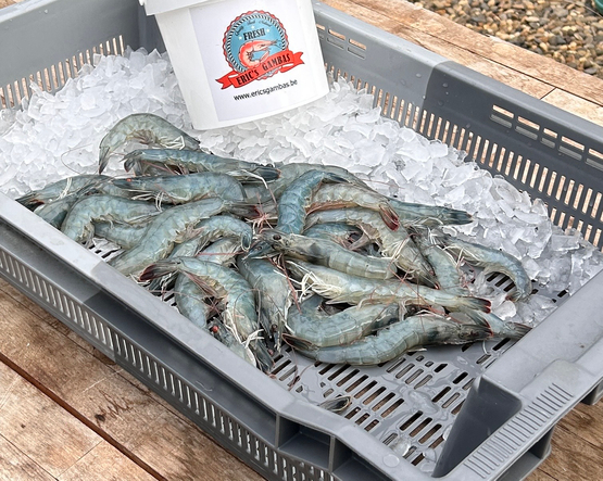 Gambas belges Eric’s Gamba’s