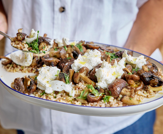 Assiette de champignons et burrata bio
