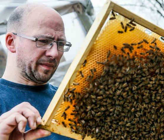 Bee Tasty