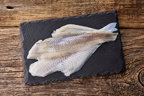 Poisson du jour, pêche durable en Mer du Nord Pintafish