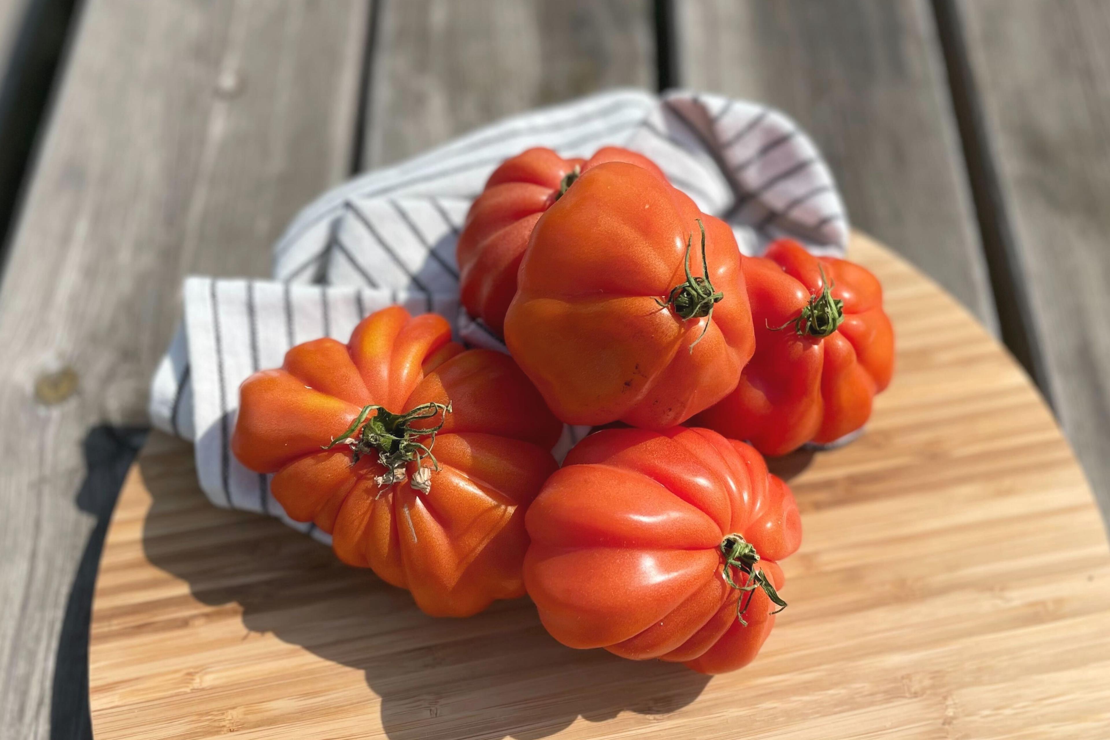 Coeur de boeuf-tomaten