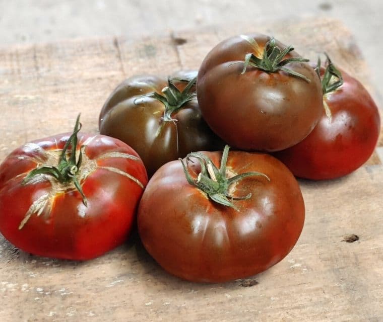 Zwarte tomaten